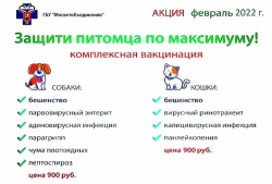 Акция по вакцинации собак и кошек против бешенства и инфекционных заболеваний