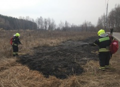 Не жгите: профилактическая работа по предупреждению палов сухой травы в ТиНАО